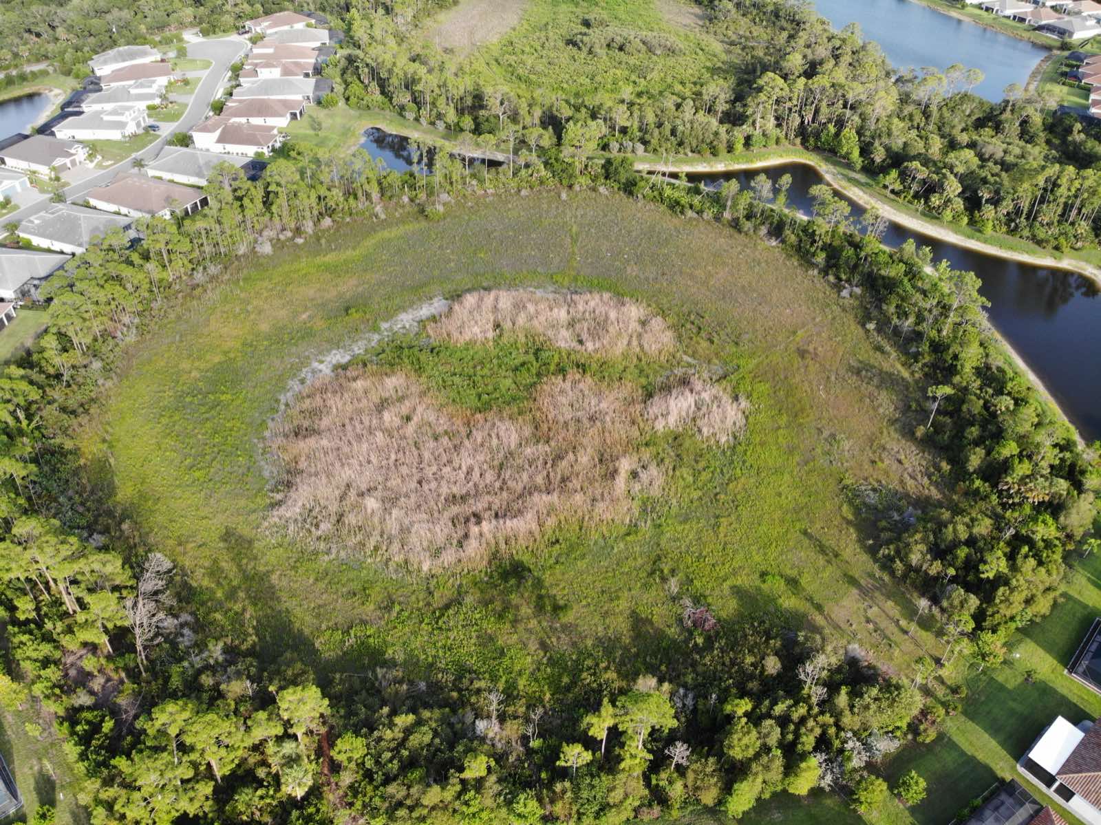 Aerial capture of a round stormwater basin nearly filled with green and dried-brown emergent vegetation, ringed by trees, with a canal to the east.